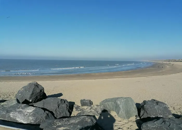 Apartment Bartine - Modern And Spacious Flat Near The Sea, Free Parking Space Ostend